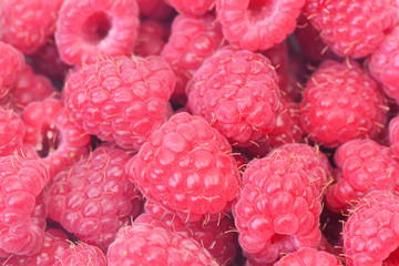 Fresh raspberry