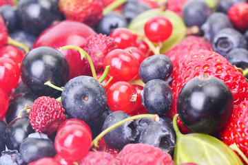 Fresh berries
