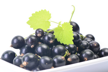 Black currant
