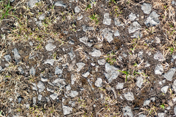 FEnglish Footpath Texture