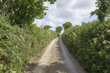 Fototapeta na wymiar Scenic small roads through Cornwalls Nature