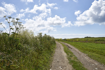 Fototapeta na wymiar Rural path on open fields