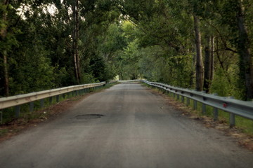 Obraz premium a narrow road in the forest