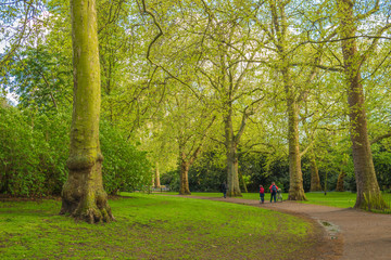 Fototapeta na wymiar Unrecognizable people, a father and son cycling in the park. London, UK 