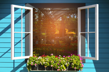 windows with flower box on blue wall