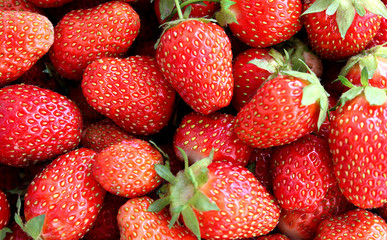 background a lot of strawberry juicy fresh red