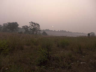 Morgendlicher Ausflug in den Corbett Nationalpark in Uttarakhand Indien