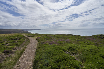 Fototapeta na wymiar Hiking paths along Cornwalls scenic coastline