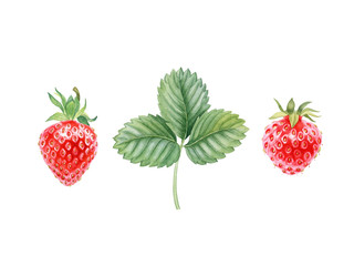 strawberry