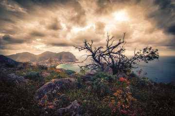 Mondello Bay. Dramatic Landscape. Instagram like Effect