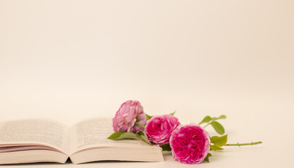 fresh roses and a book on a blank background
