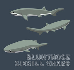 Naklejka na ściany i meble Bluntnose Sixgill Shark Cartoon Vector Illustration