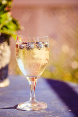 Sektglas mit Heidelbeeren auf Balkon, Urlaub