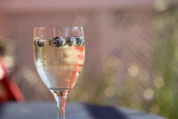 Sektglas mit Heidelbeeren auf Balkon, Urlaub