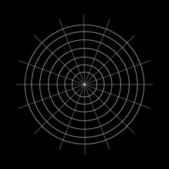 Vector Web Icon on Black Background, Spider's Web.