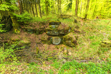 Beautiful spring forest landscape with in area of mill stone and ice caves and beech trees in...