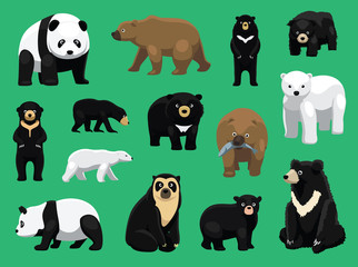 Various Bears Cartoon Vector Illustration