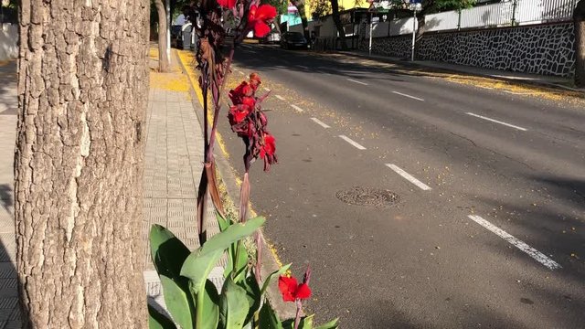 Una calle cualquiera