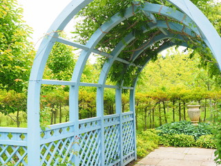 Fototapeta premium イングリッシュガーデンの風景