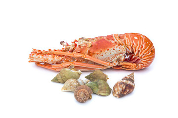 Langouste