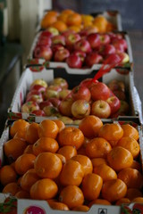 Apples and Oranges being sold at a local green grocer in a small rural town, New South Wales, Australia