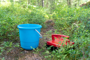 Red berry picker and blue bucket for collecting blueberries in woods