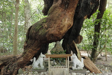 伊勢の風景