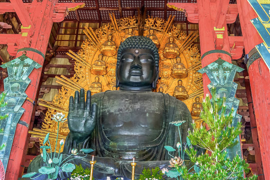 243 Best 奈良の大仏 Images Stock Photos Vectors Adobe Stock
