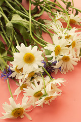 camomile   daisy and a cornflower bouquet on pink bright light gentle background a postcard vintage