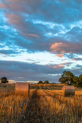 Sunset in a farmers field