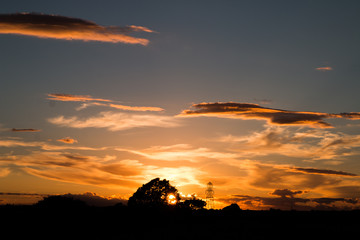 Sun setting behind silhouetted tree