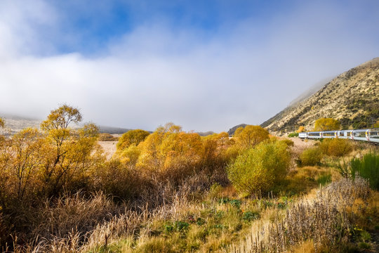 Tranzalpine train in New Zealand mountains