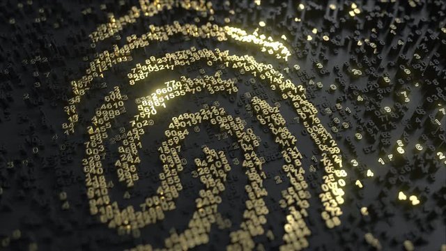 Fingerprint made of gold numbers. Digital identity, personal data or forensics related conceptual animation