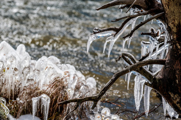 Icicles on trees and grass by lake