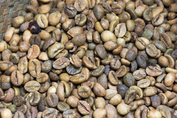 Coffee Beans