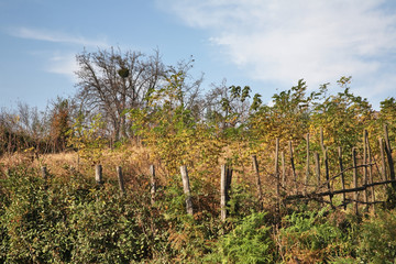 Fototapeta na wymiar Landscape near Tskaltubo and Kutaisi. Imereti region. Georgia