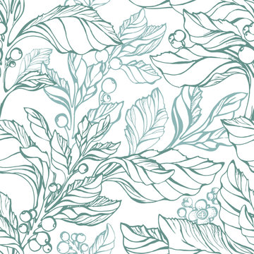 Seamless pattern of mate. Green herbal plant