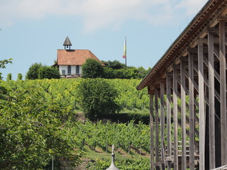 Bad Dürkheim - Gradierwerk Bad Dürkheim (Saline)
