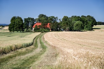 Sommerliche Agarlandschaft im Weserbergland