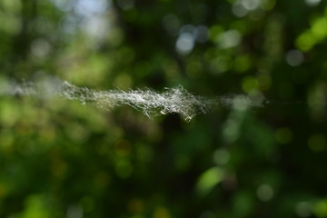 летающая паутина)