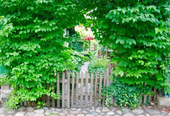 Beautiful wild garden in Trakai, Vilnius, Lithuania, with wooden houses and fence, stone floor