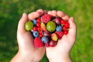 Fresh, ripe friuts in the palm of a child. 