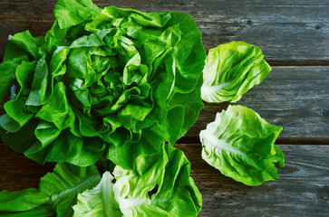 colorful and fresh of Butterhead lettuce with shadow on wooden background.