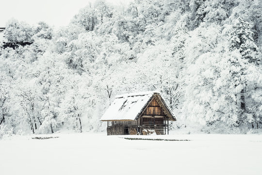 picture of ancient houses and snow is heavy at Shirakawa-go village in Gifu, Japan.