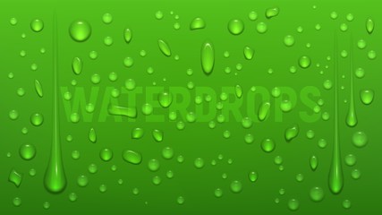 water drops on green