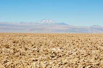 Chaxa Lagoon - Chile