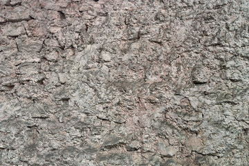 Texture of gypsum wall