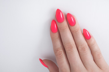 Women's manicure, on a white background. Nail Polish red coral color.