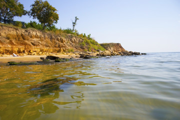Obraz premium Sea shore with forest under sky. Beautiful landscape with trees on cliff and sea. View from the sea