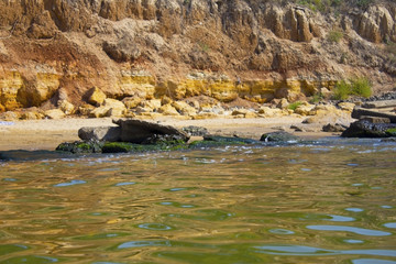 Sea shore with forest under sky.View from the sea